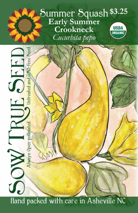 Summer Squash Seeds - Early Summer Crookneck Summer Squash Seeds - Early Summer Crookneck With Printed Label