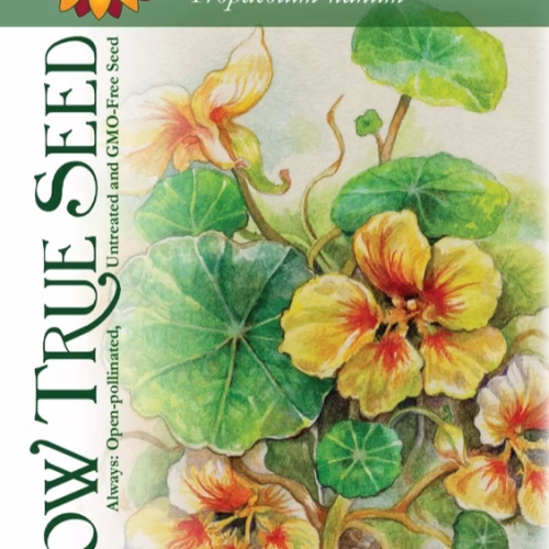 Nasturtium Seeds - Peach Melba Dwarf with printed label photo