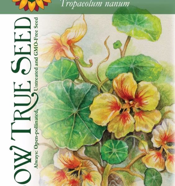Nasturtium Seeds - Peach Melba Dwarf with printed label photo