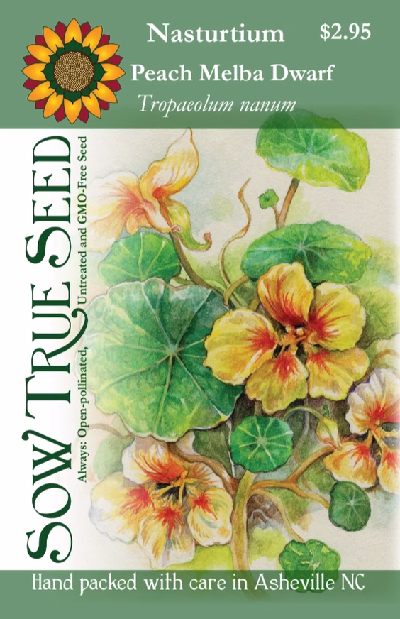 Nasturtium Seeds - Peach Melba Dwarf with printed label photo