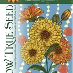 Calendula Seeds - Pacific Beauty with Printed Label