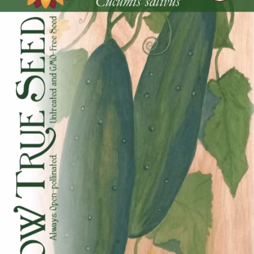 Slicing Cucumber Seeds - Marketmore 76 with printed label