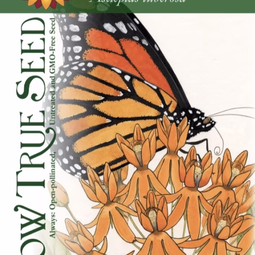 Milkweed Seeds - Butterfly with printed label photo
