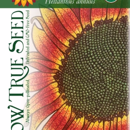 Sunflower Seeds - Autumn Beauty with printed label