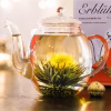 Blooming Tea Set with Glass Jug White & Black Tea in the teapot photo