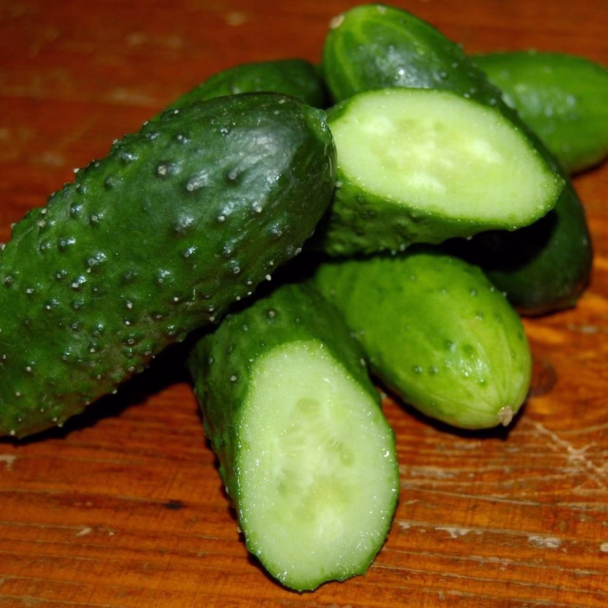 Pickling Cucumber Seeds - Bushy With Sliced Pickled Cucumber On The Table Pickling Cucumber Seeds - Bushy With Sliced Pickled Cucumber On The Table