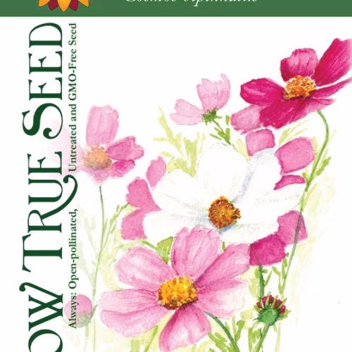 Cosmos Seeds – Sensation Mix with printed label