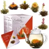 Blooming Tea Set with Glass Jug White & Black Tea with box and teapot