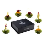 Magnetic Box 6 Blooming Tea with a black box photo