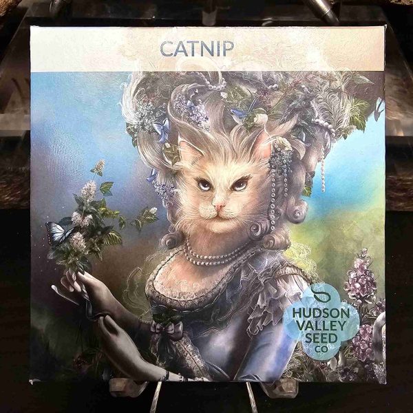 Catnip Seeds