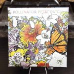 Pollinator Petal Patch Seeds
