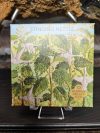 Stinging Nettle Seeds