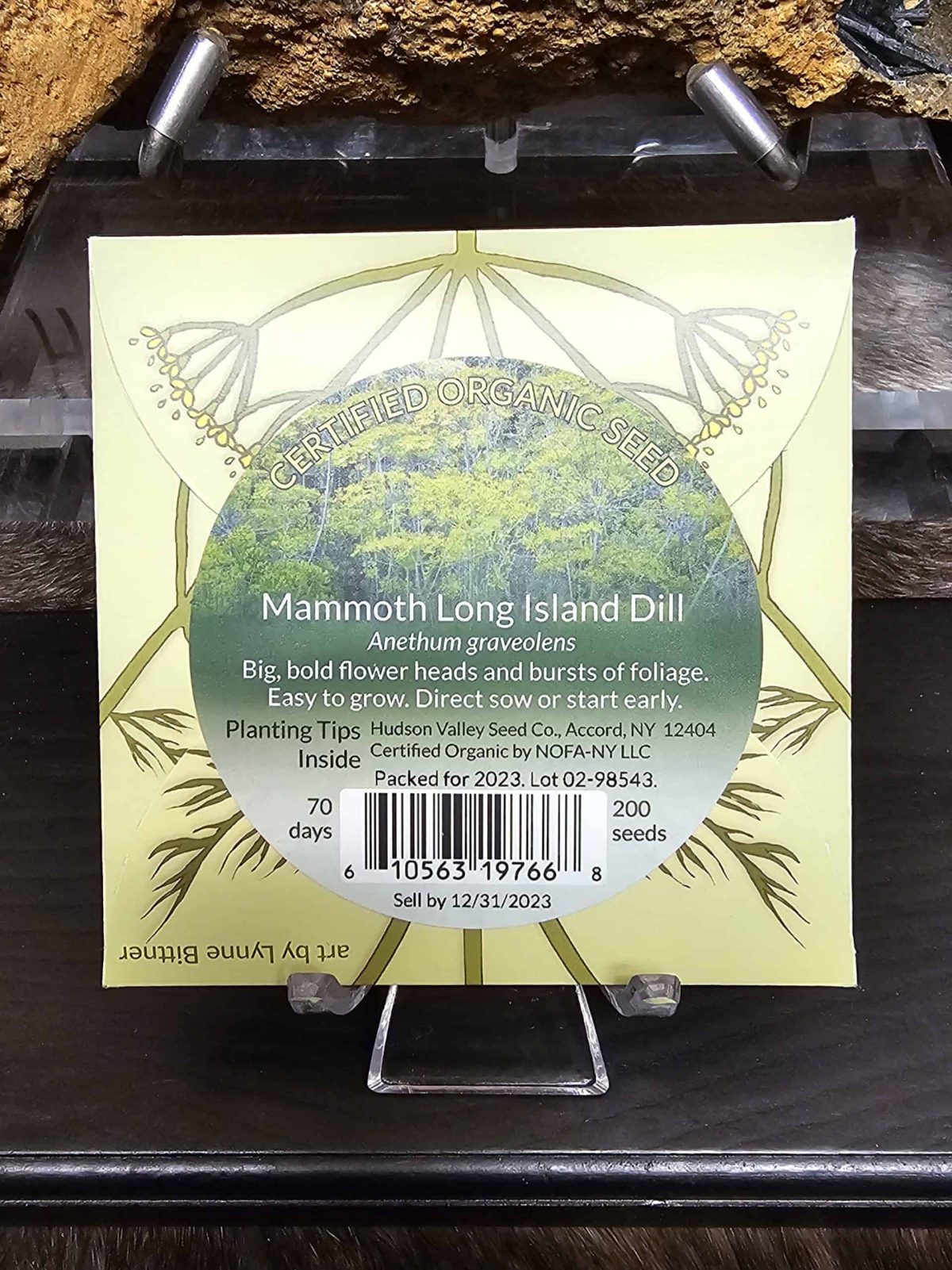 Pro-Vljlt0Zf-Scaled-1.Jpeg Mammoth Long Island Dill Seeds - Image 2