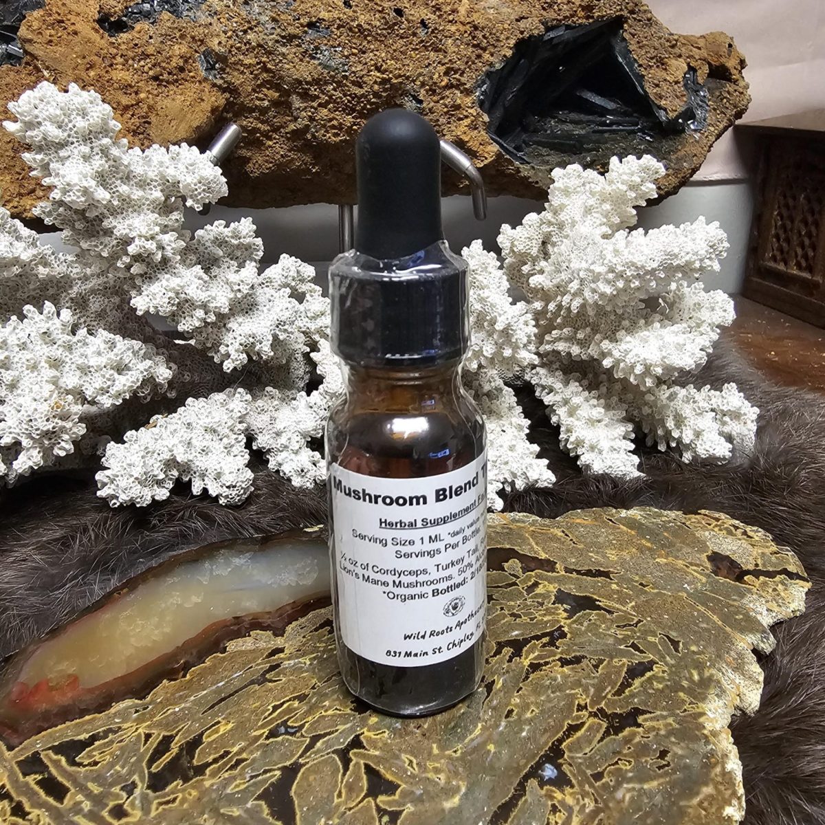 Pro-Wd0Eolm3-Scaled-1.Jpeg Mushroom Blend Tincture - Image 1