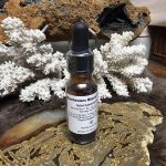 Mushroom Blend Tincture
