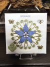 Borage Seeds
