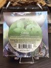 Catnip Seeds - Image 2