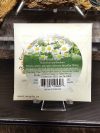 Feverfew Seeds - Image 2
