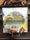 Pollinator Petal Patch Seeds - Image 2