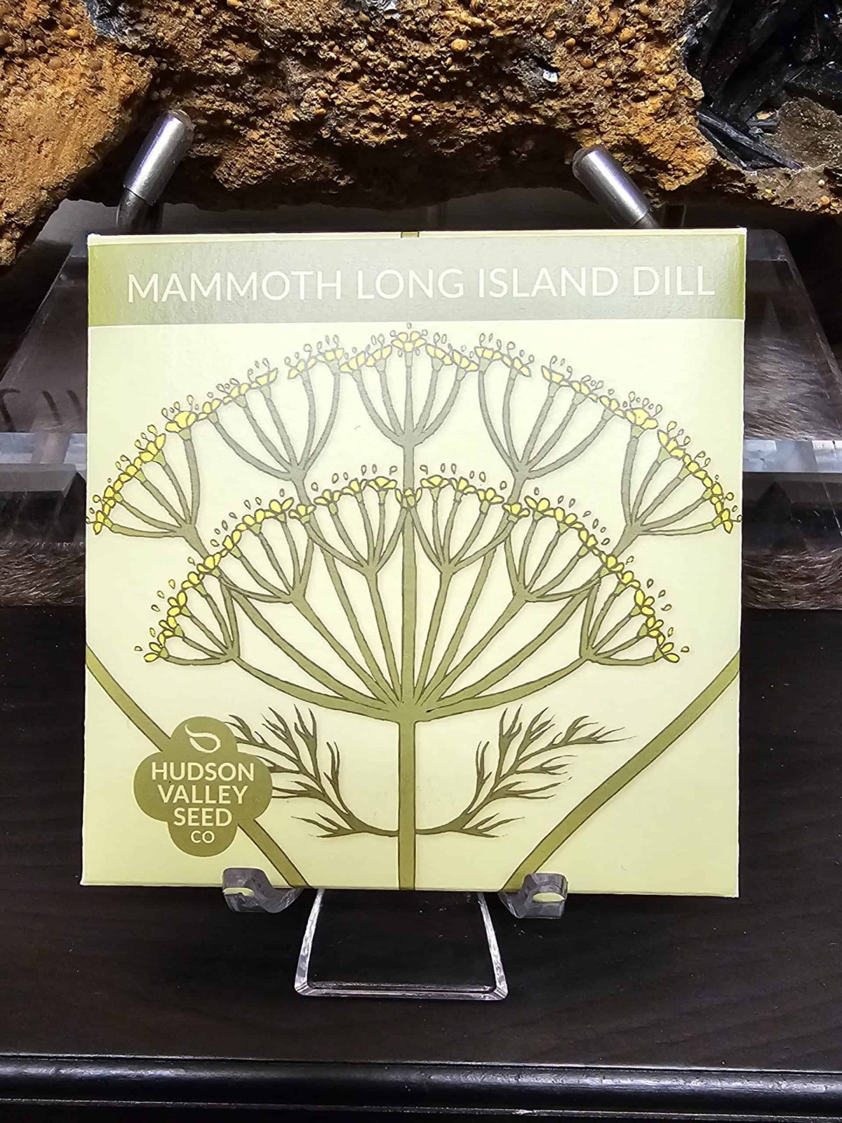 Pro-T1X8T61W-Scaled-1.Jpeg Mammoth Long Island Dill Seeds - Image 1