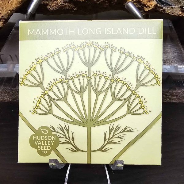 Mammoth Long Island Dill Seeds