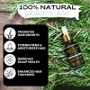 Organic Hair Growth Oil - Image 3
