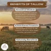 Grass-Fed Tallow Lip Balm - Peppermint - Image 3