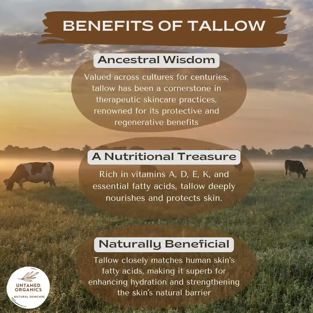 Talowlipbalm3 Grass-Fed Tallow Lip Balm - Peppermint - Image 3