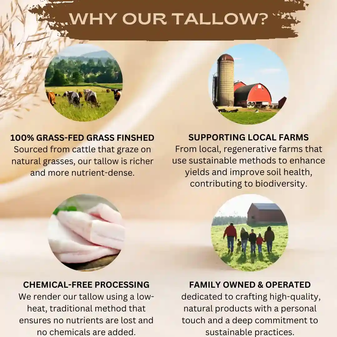 Talowlipbalm4 Grass-Fed Tallow Lip Balm - Peppermint - Image 4