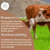Grass-Fed Tallow Lip Balm - Peppermint - Image 6