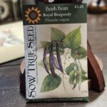 Beans - Bush Seeds Royal Burgundy