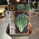 Lettuce Seeds - Parris Island Romaine