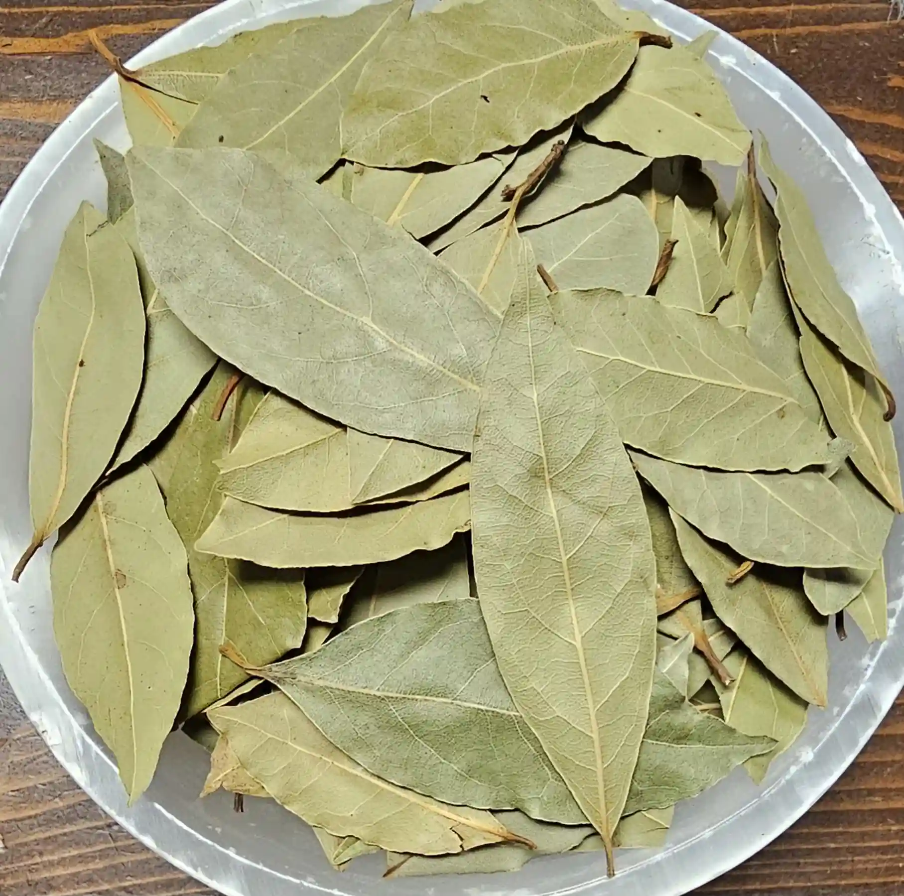 BAy Leaf | Wild Roots Apothecary and Seed Shop