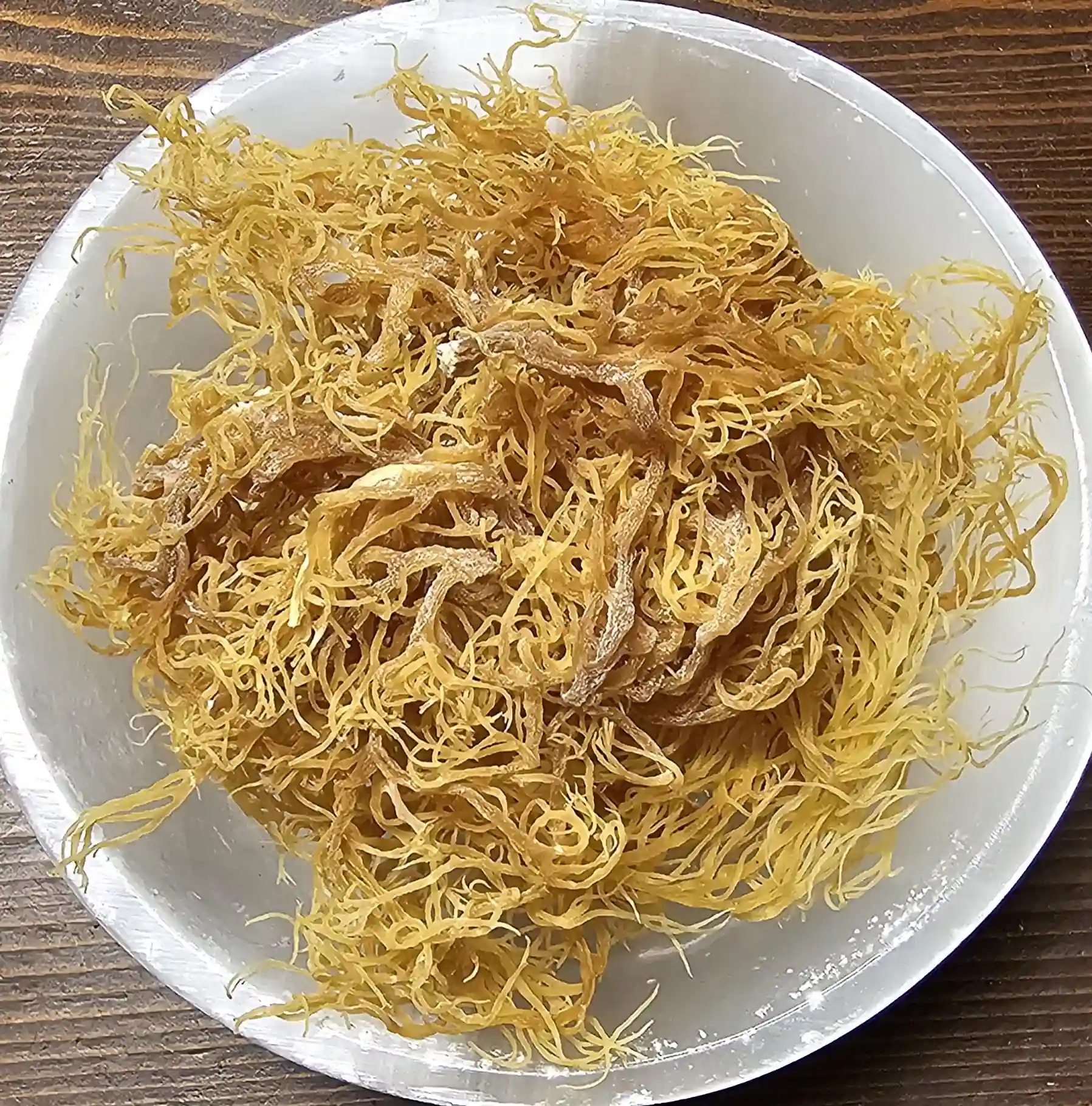 Golden Sea Moss | Wild Roots Apothecary and Seed Shop