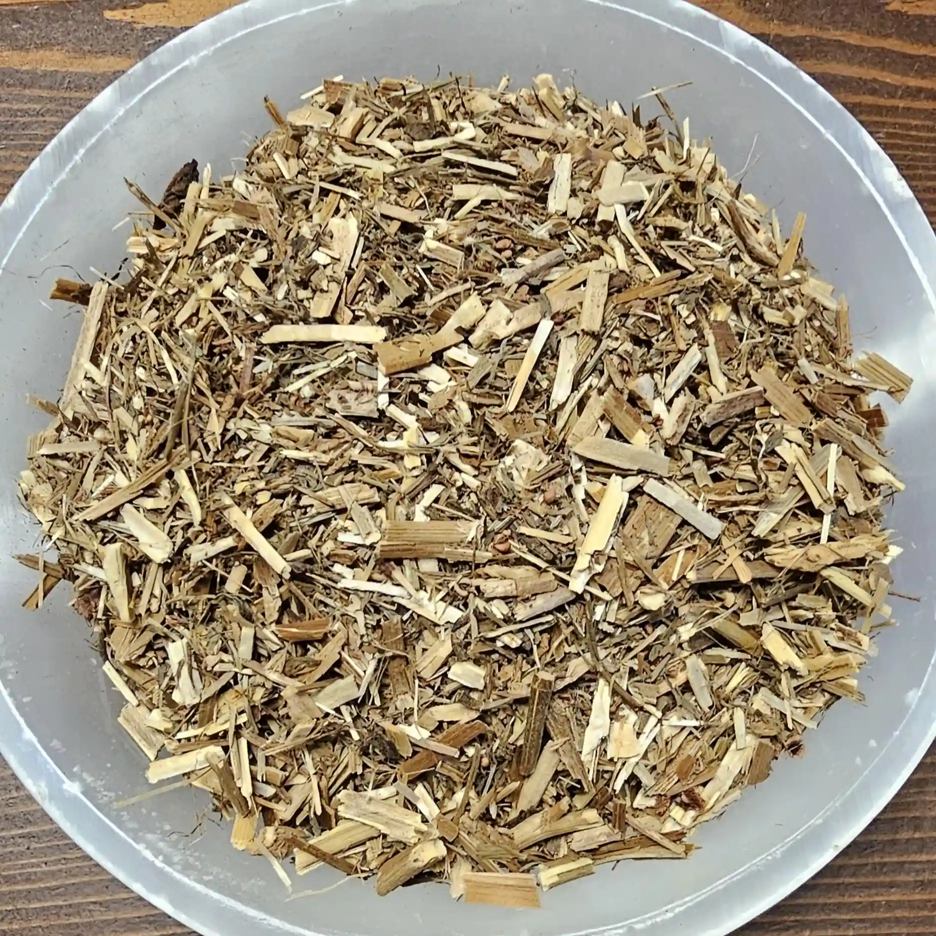 Sheeps Sorrel | Wild Roots Apothecary and Seed Shop