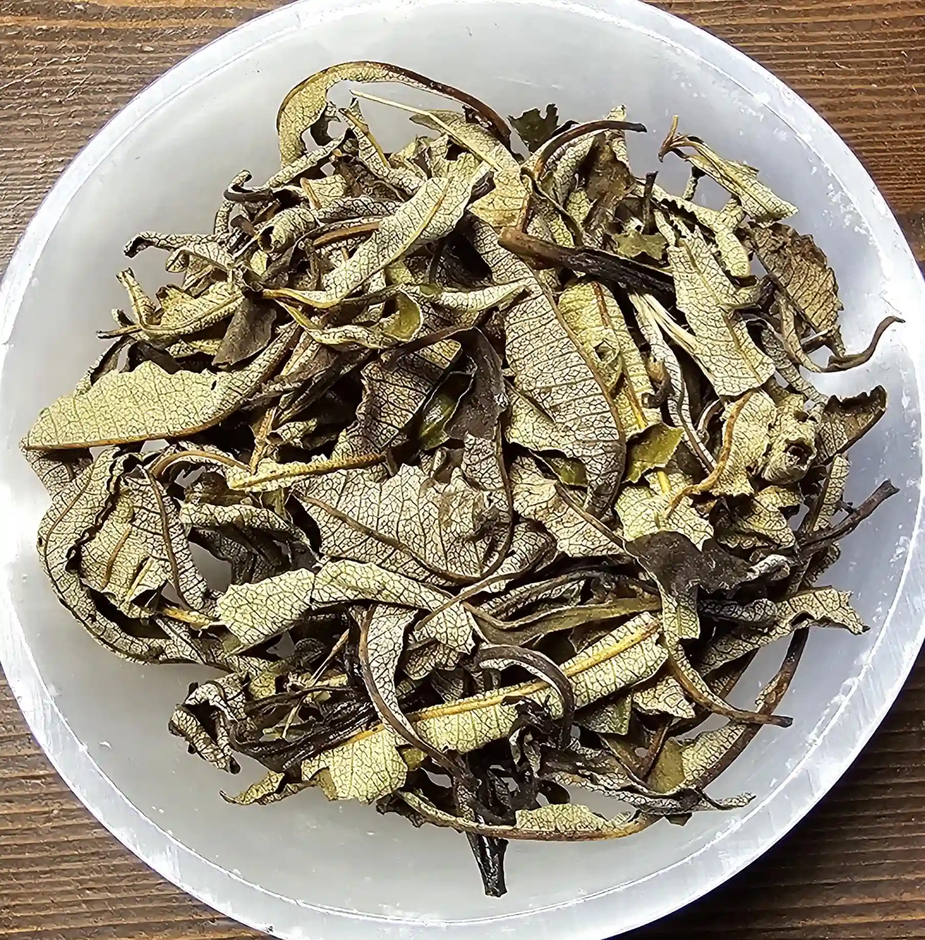 Yerba Santa Leaf | Wild Roots Apothecary and Seed Shop