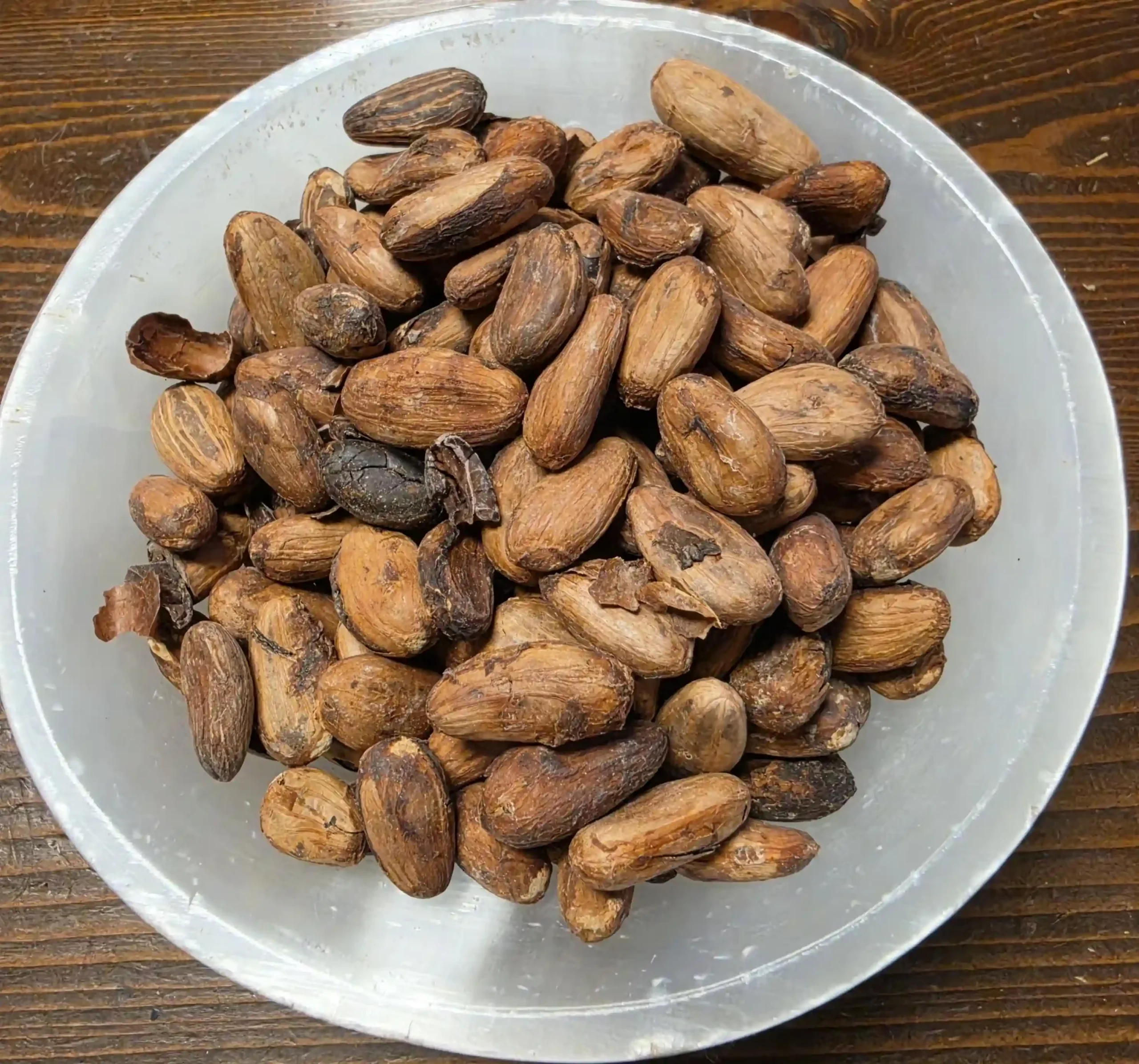 Cacao Beans Whole | Wild Roots Apothecary and Seed Shop