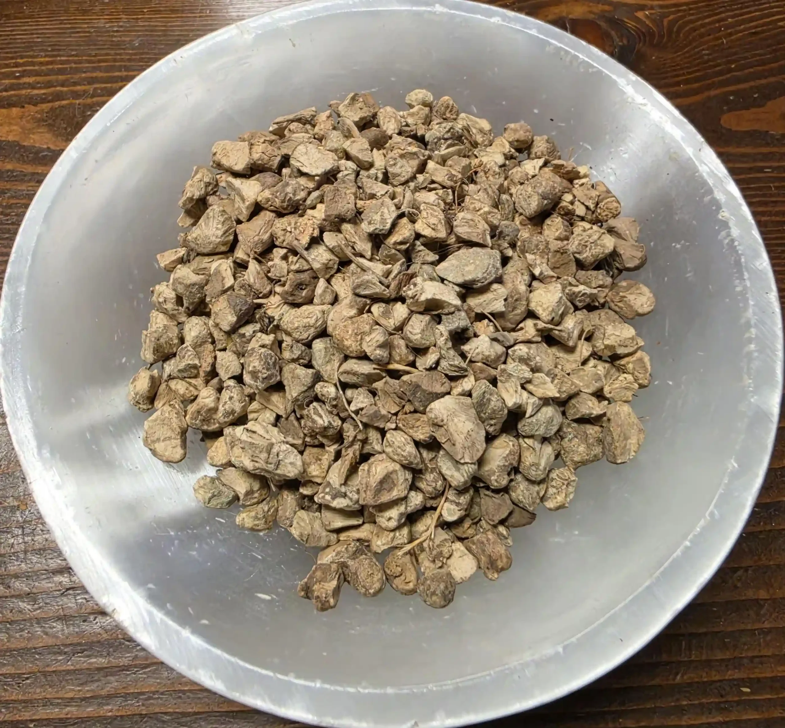 Stone Root | Wild Roots Apothecary and Seed Shop